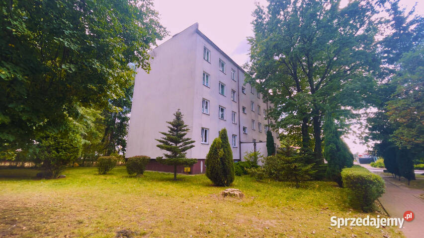 sprzedaży mieszkania Grodzisk Mazowiecki 74m2 4 sprzedam