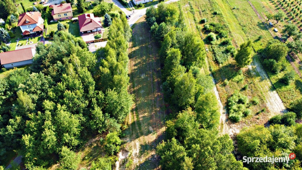 Działka w malowniczej okolicy Kazimierza Kazimierz Dolny