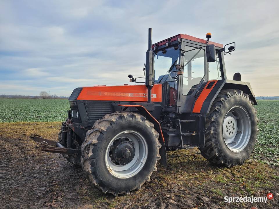 Ursus 1634 bison 416