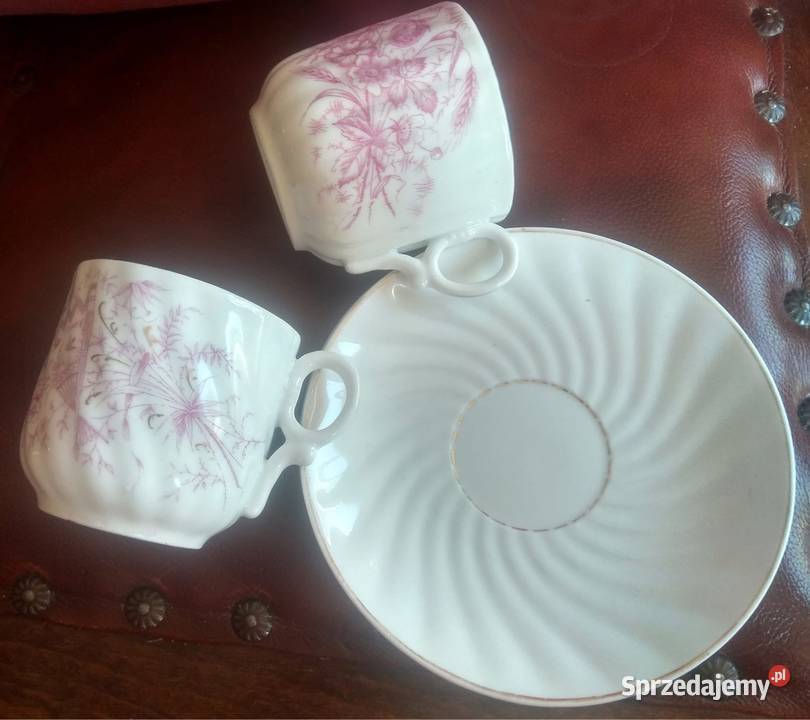 Filiżanka Carl Tielsch Altwasser sprzedam