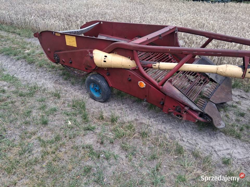 Kopaczka elewatorowa do ziemniaków nieuszkodzony Puławy sprzedam