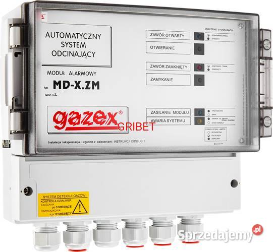 Detekcja Gazu Gazex PPOŻ Cieszyn Heat King