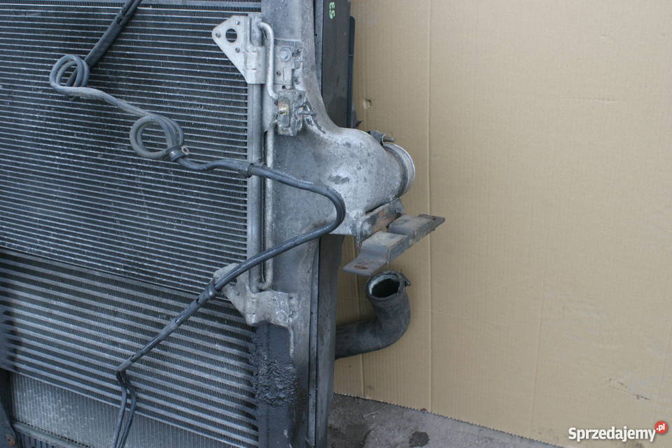 IVECO STRALIS EURO 5 CHŁODNICA WODY POWIETRZA Bieleń sprzedam