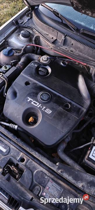 CZĘŚCI SEAT LEON 1 19 TDI 110 1999R 1km Jodłowa