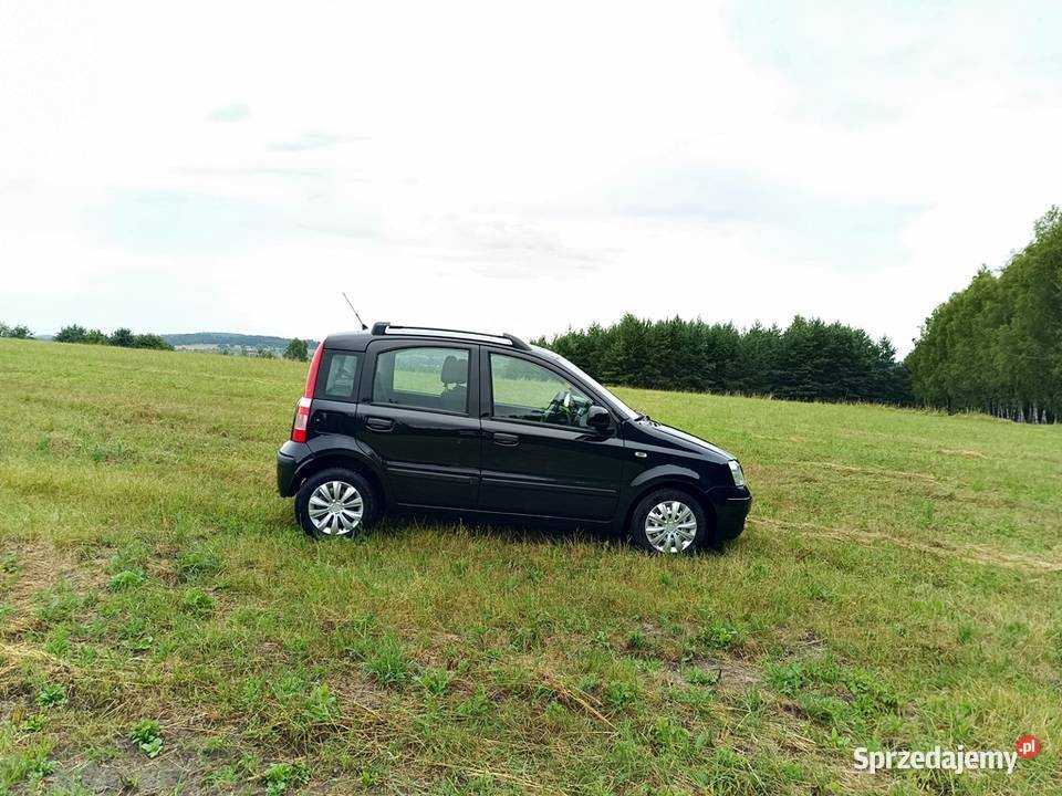 Fiat Panda 12 2010r Klimatyzacja wspomaganie Rok produkcji 2010 Olkusz
