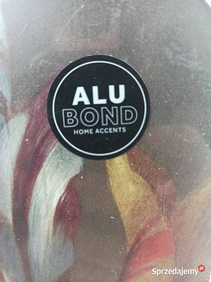 Obraz Rama Z Dibondu 20x20 Kwiaty Wyposażenie wnętrz Stalowa Wola