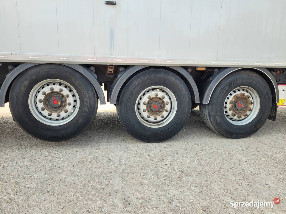 Reisch 2022 RSBS313 2022 SALON POLSKA mazowieckie