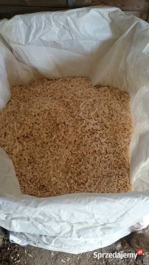 Suche Trociny Drewno Liściaste big bag Łódź