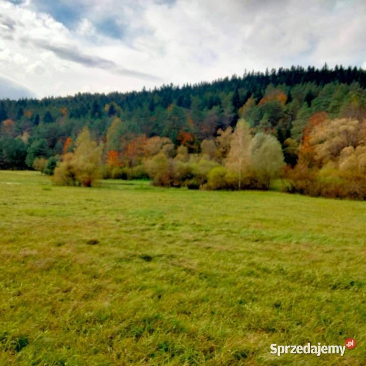 działka Beskid Niski Dukielszczyzna Krosno sprzedam