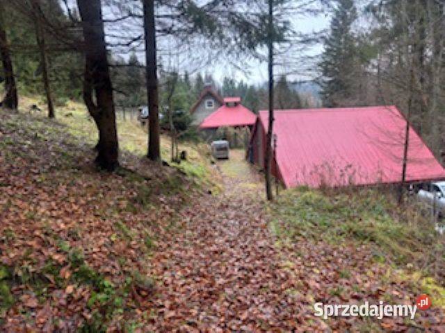 Syndyk Sprzeda udział 12 działka I Przetarg Sprzedaż Sprzedaż Jaworzynka sprzedam