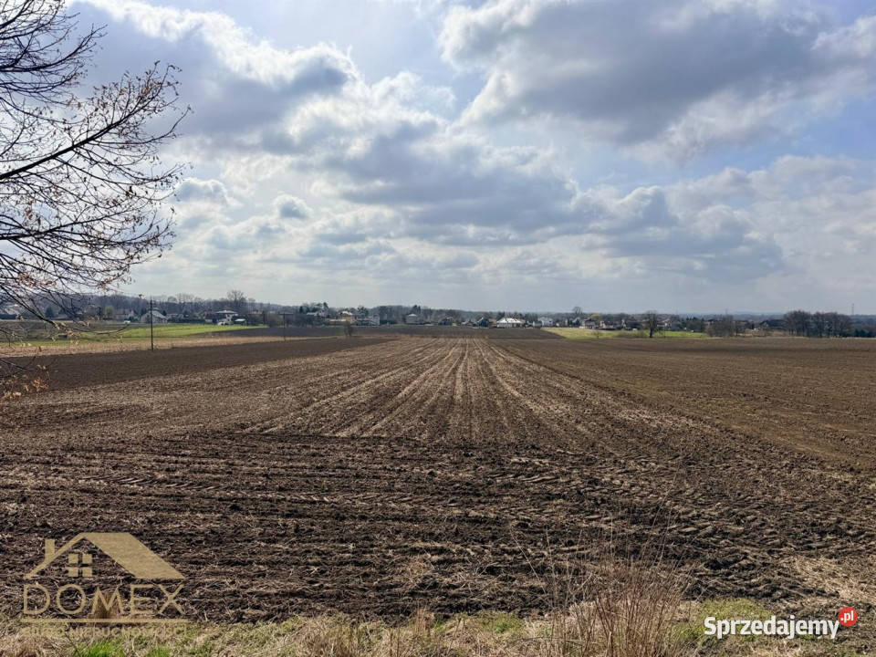 Działka 10730m2 Bełsznica śląskie