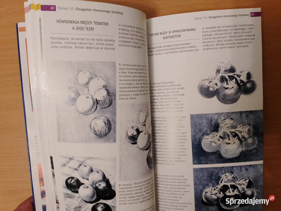 RYSOWANIE PRAKTYCZNY PODRĘCZNIK Ballestar Vigu Książki i Podręczniki Poznań
