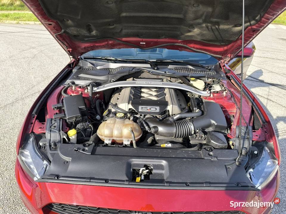 Ford Mustang GT cabrio 50 lecie 2015 isofix