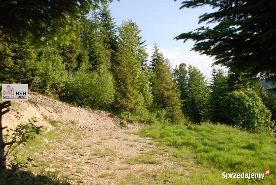 Działka do sprzedania Maków Podhalański 14000m2