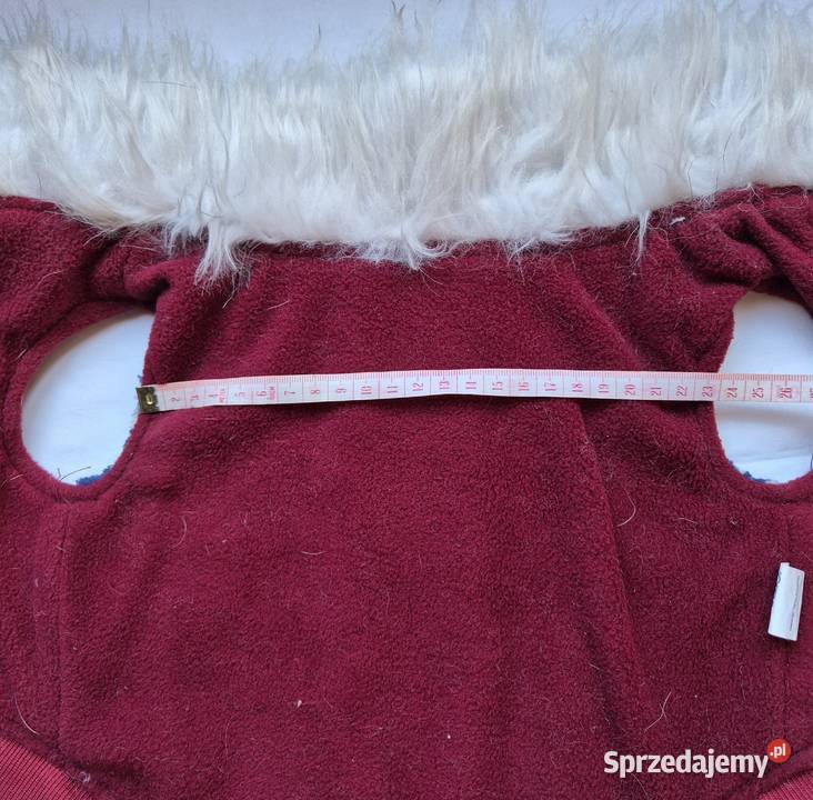 Ubranko na pieska Brzesko