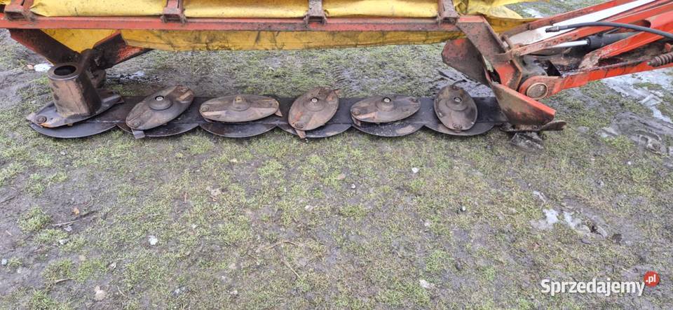 Kosiarka deskowa wielkopolskie Konin