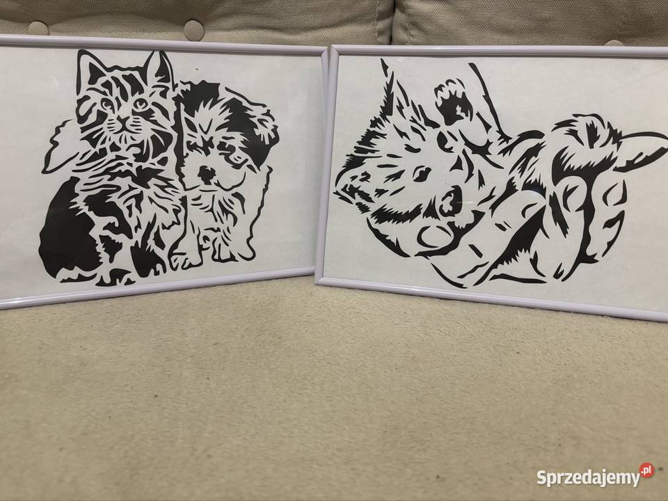 PSY I KOTY łódzkie sprzedam