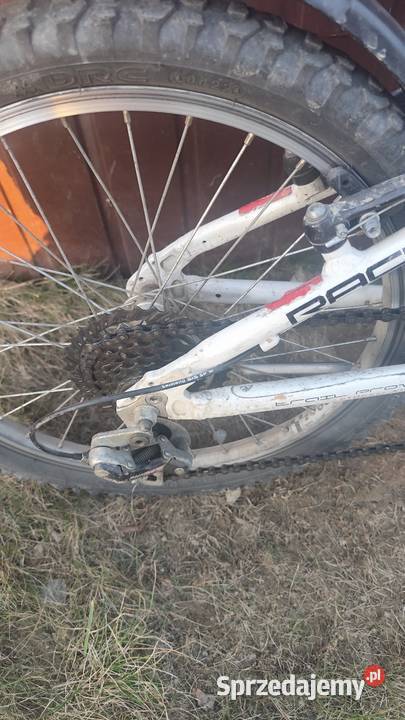 Rower dziecięcy Dla Dziecka Marcinkowice