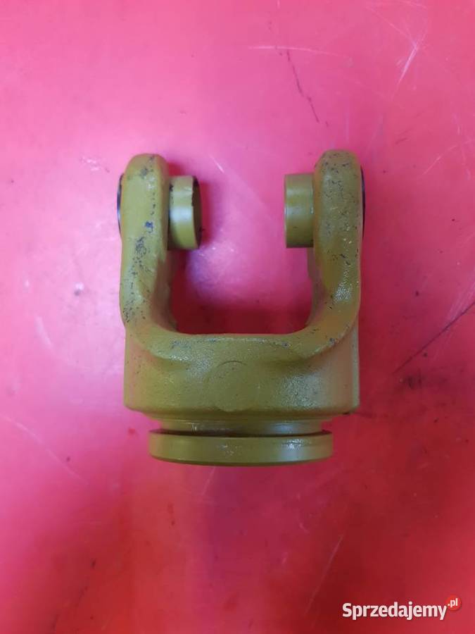 Widłak wewnętrzny 151015361