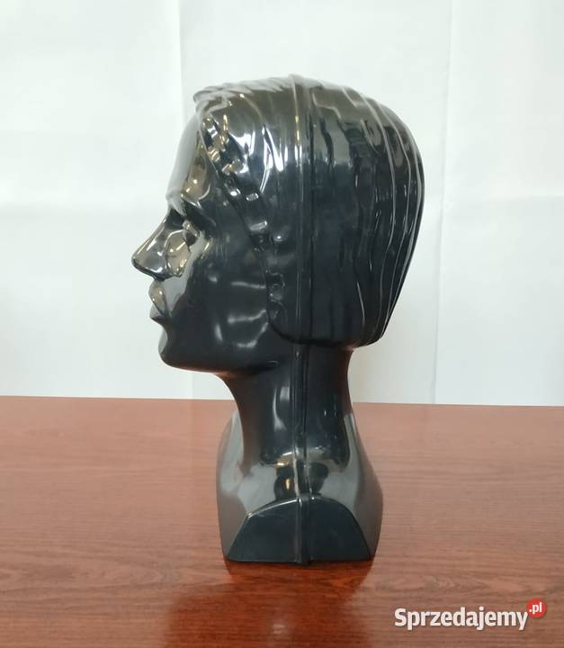 Ekspozytor głowa czarna stojąca lekkawydmuszka zachodniopomorskie Szczecin