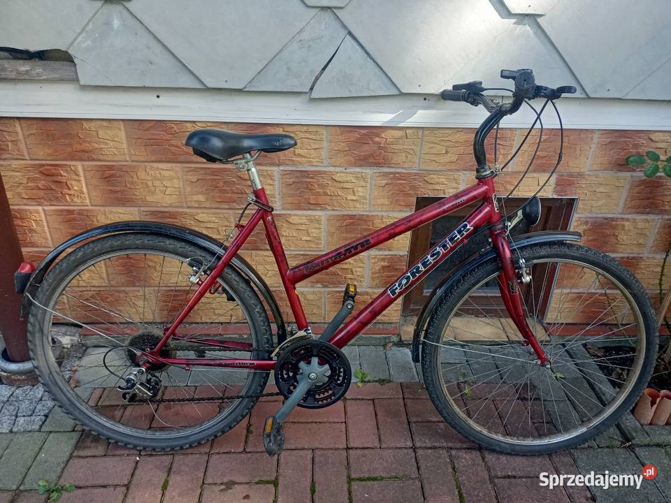 Sprzedam rower forester Łodygowice