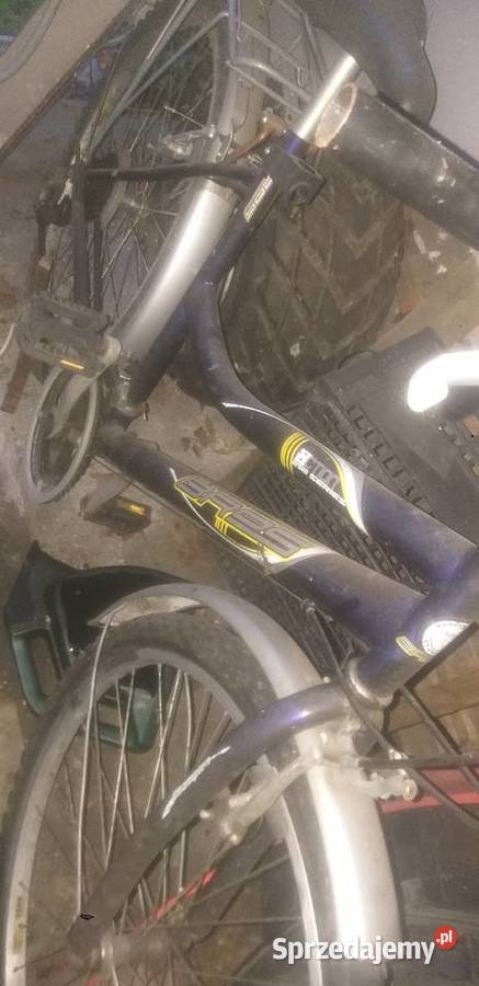 Rowery holenderski magnum i rapid Krapkowice