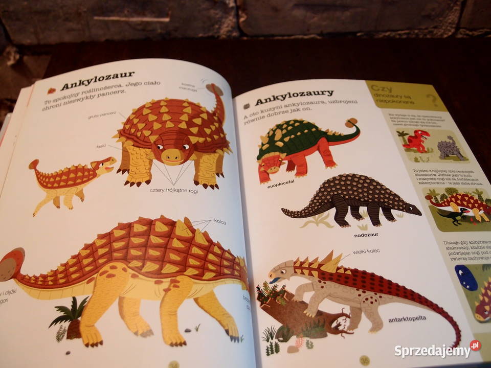 Encyklopedia dzieci Dinozaury Łódź sprzedam