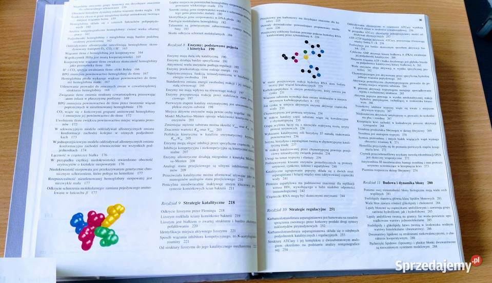 Biochemia Lubert Stryer WYDANIE NOWE 2000 pomorskie Gdańsk