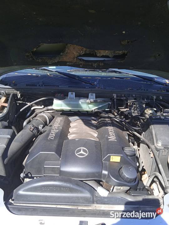Sprzedam mercedesa w163 Czarna Białostocka
