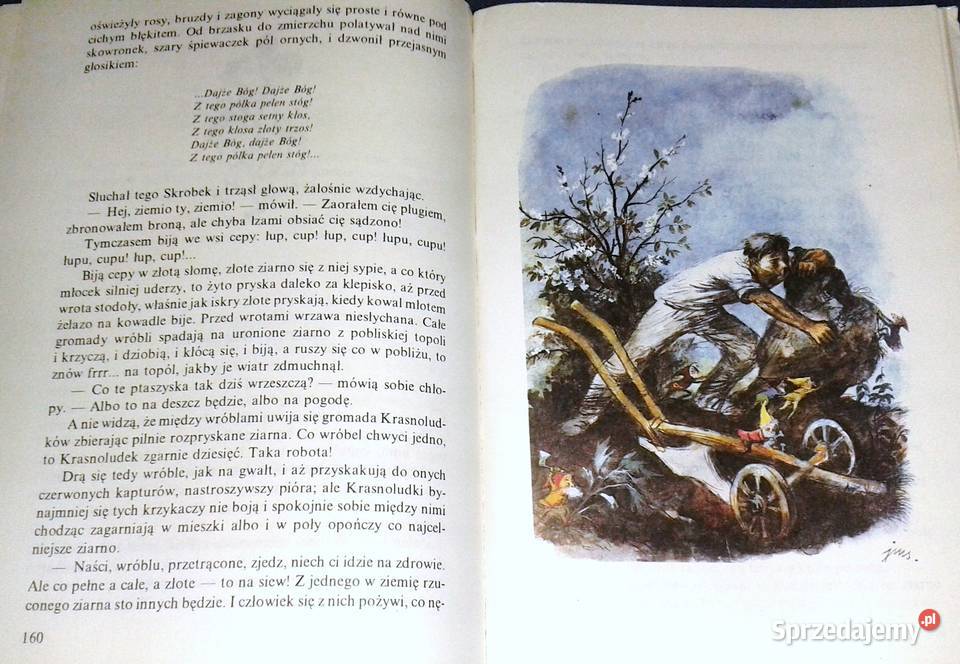 O krasnoludkach i o sierotce Marysi Maria Chełm