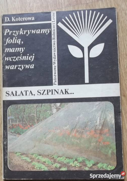 Sałata szpinak Oświęcim