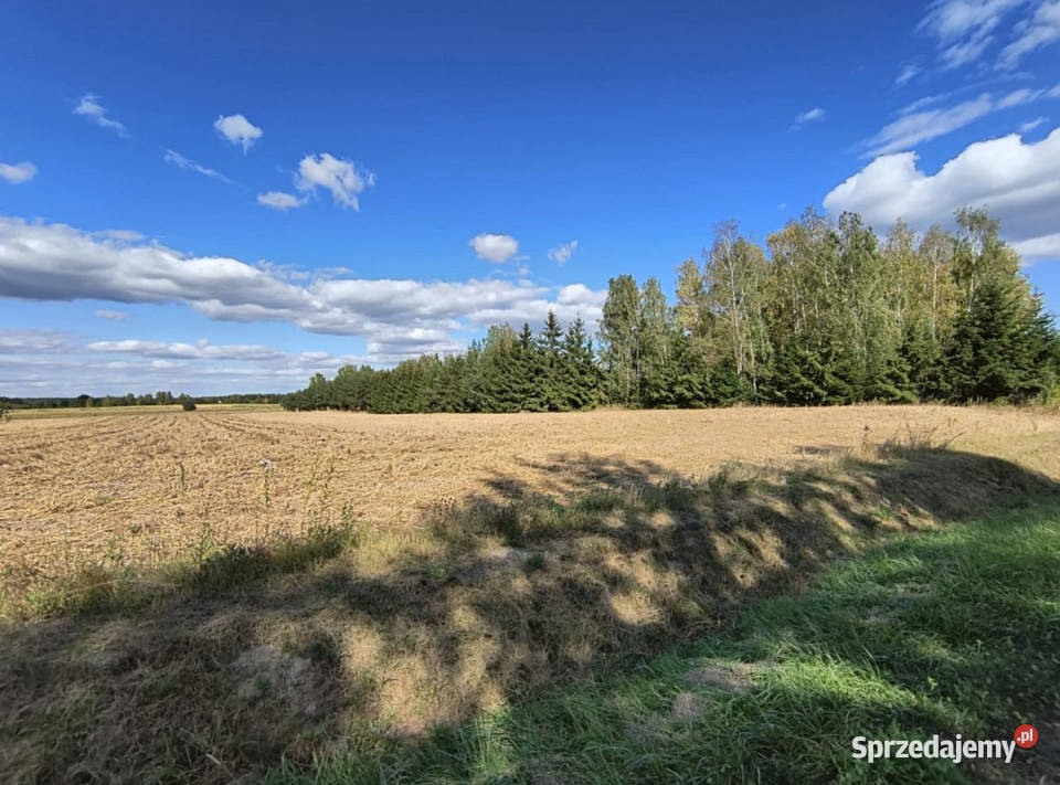 sprzedaży działki 2564m2 Starościn Sprzedaż lubelskie