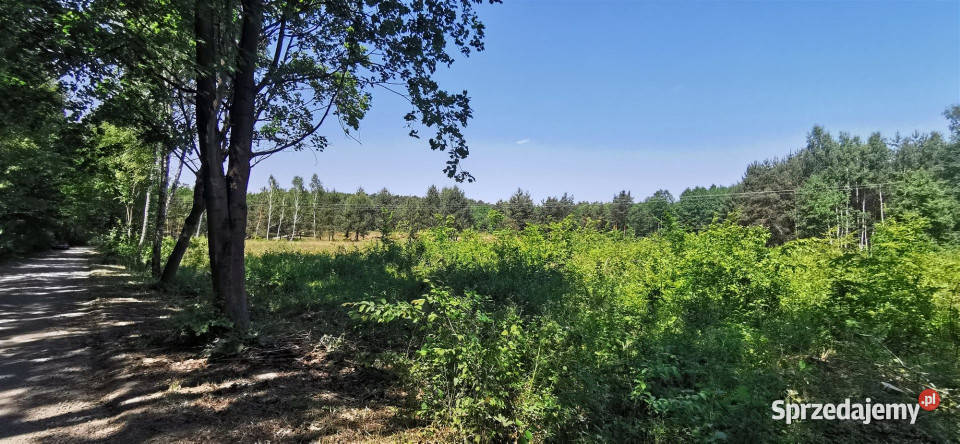 Działka 1794m2 Sieradz budowlana