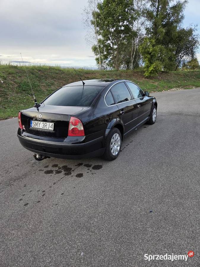 Passat b5fl 19tdi 101 Passat