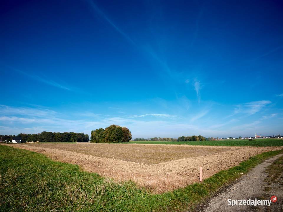 Działka budowlana Wilamowice Pisarzowice sprzedam