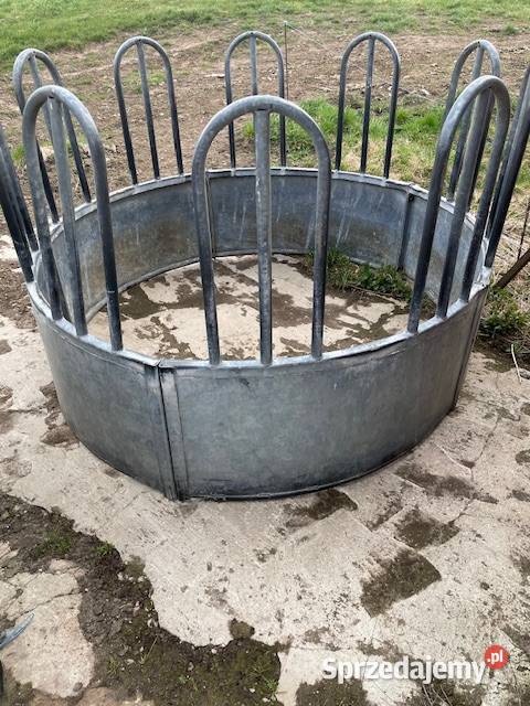 Paśnik do bydła krów koni Hodowla bydła Mrągowo