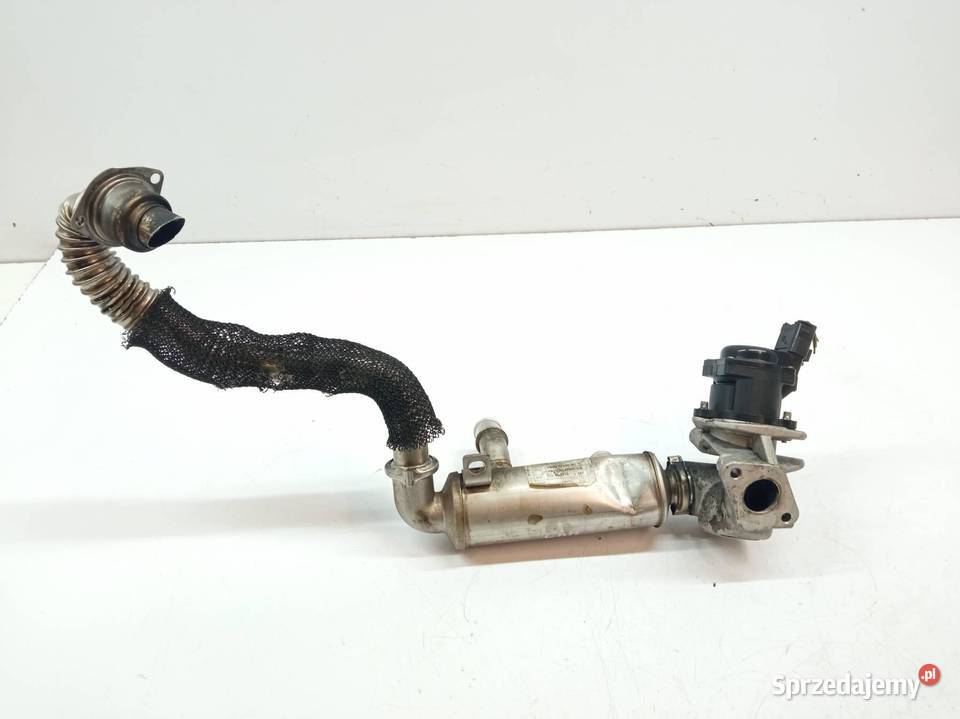 CHŁODNICA SPALIN ZAWÓR EGR 3M5Q9F464BC 16 D Ford sprzedam