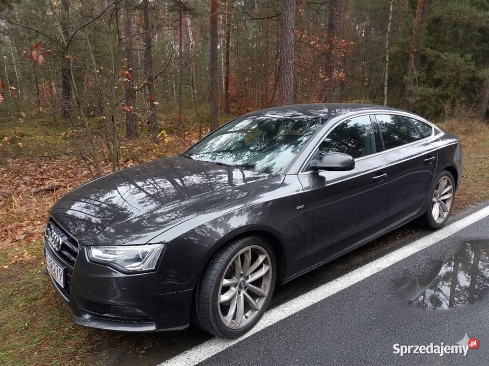 Audi A5 8T Sportback Sline 18 TFSI Automat Krosno