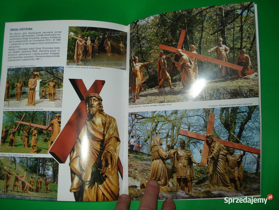 Książka Lourdes wersja Polska Pozostałe sprzedam