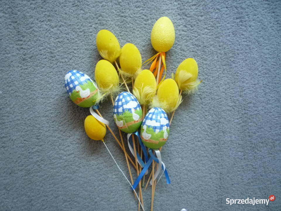 Wielkanoc Jajka Pisanki Kurczaki Kury Płotek zachodniopomorskie Szczecin sprzedam