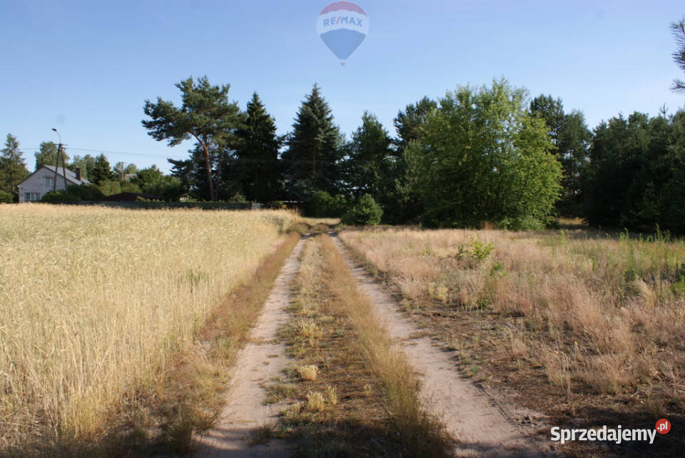 Działka budowlana 3000 m Ruda Radzymin Sprzedaż mazowieckie