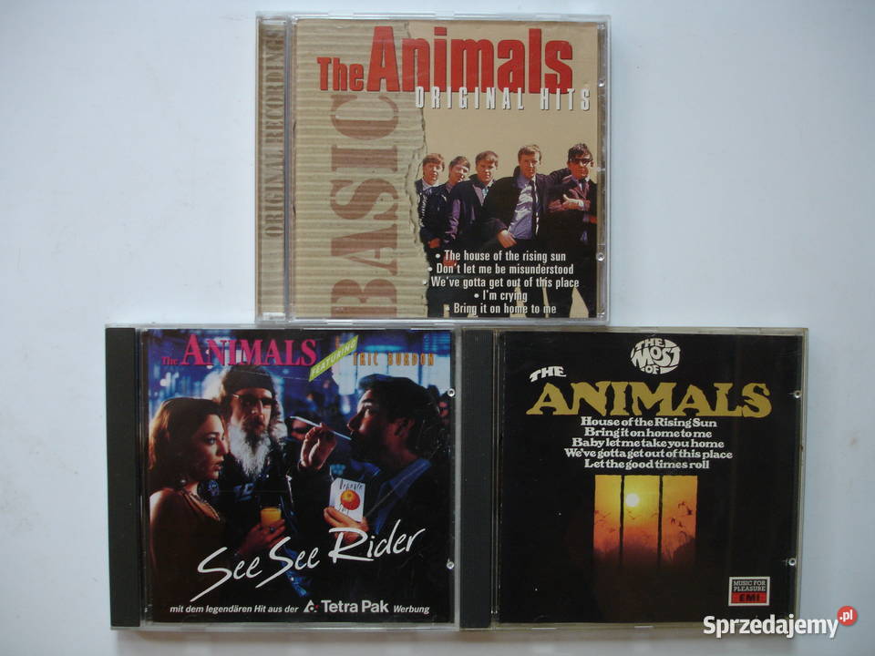 THE ANIMALS płyty CD Płyty i kasety lubuskie Zielona Góra