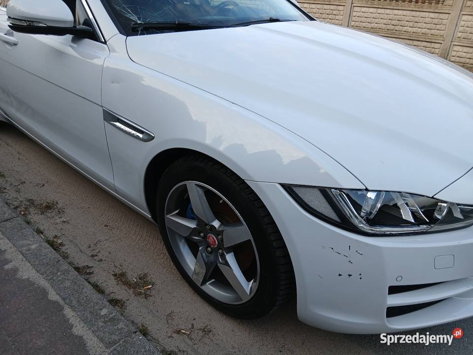 Jaguar XE 20 Panoramadach Automat Biała perła z Jaguar Dobrzyca