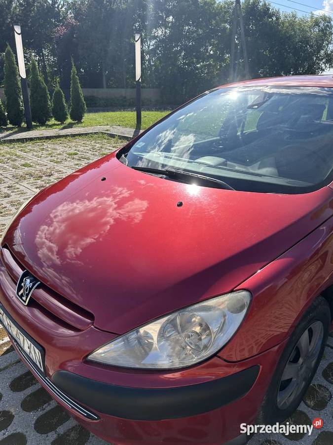 Zadbany Peugeot 307 20 HDI 307 Milicz