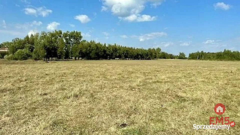 Grunt Rafałówka 1000m2 130zł/m2