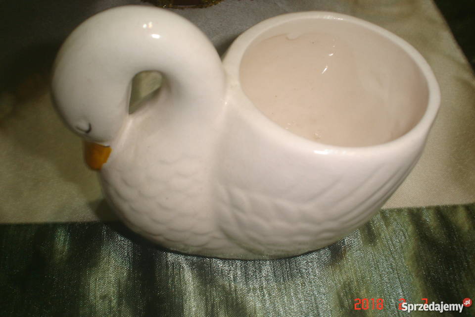 gąski porcelana Szczecin