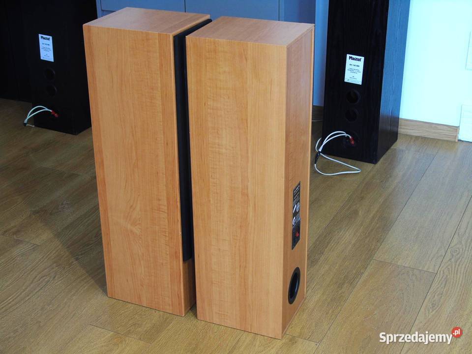 Kolumny Cat 2 x 380 wat ładne DOSTAWA Jasło