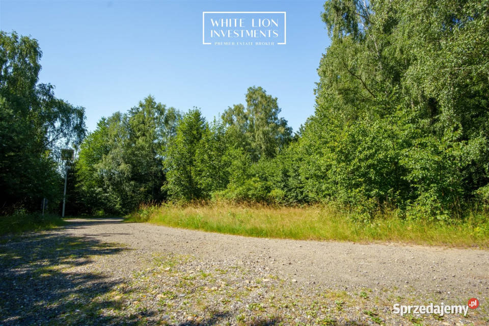 Działka Studzienno 3068m2 handlowo-usługowa dolnośląskie