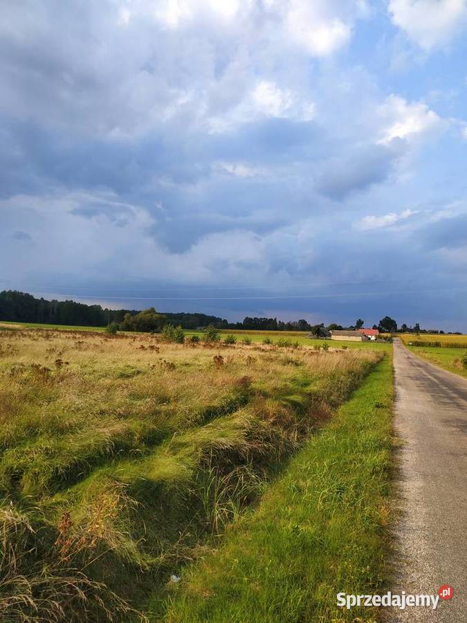 PODLASIE 127ha WZ na 4 domy jednorodzinne