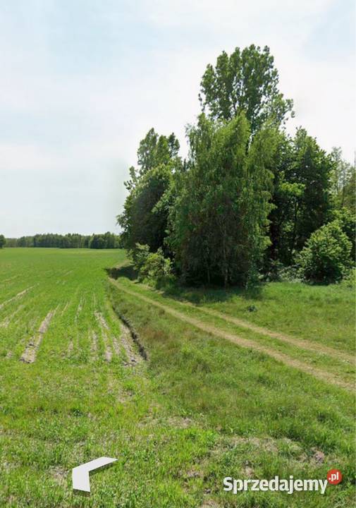 Działka Zamoście Kolonia 027ha łódzkie